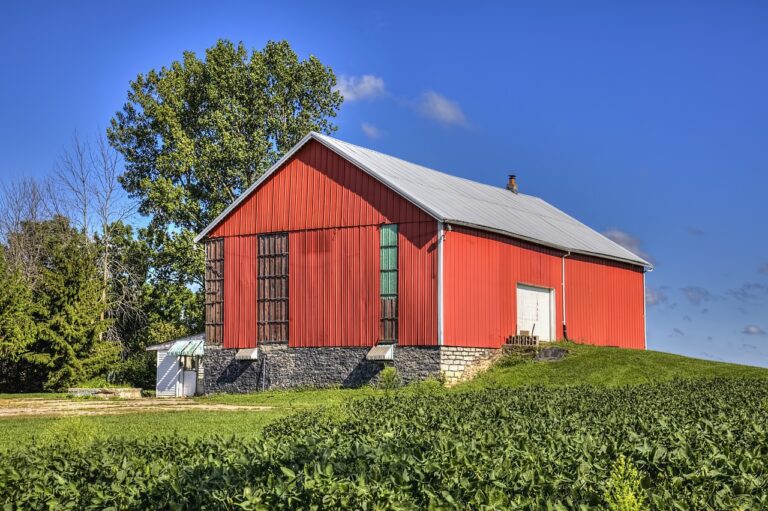 Metal Roofing: Resilience Against Power Outages: Cricbet99 id password, Sky99 login, Ready book club