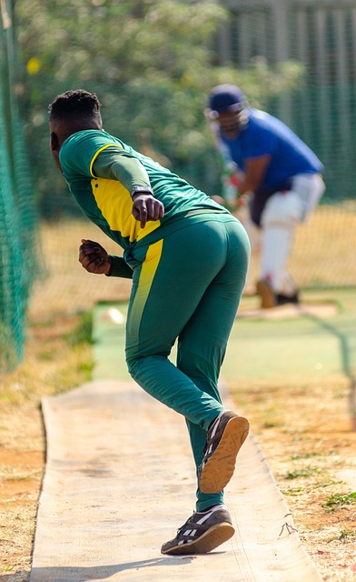 The Influence of Cricket on Traditional Music and Dance